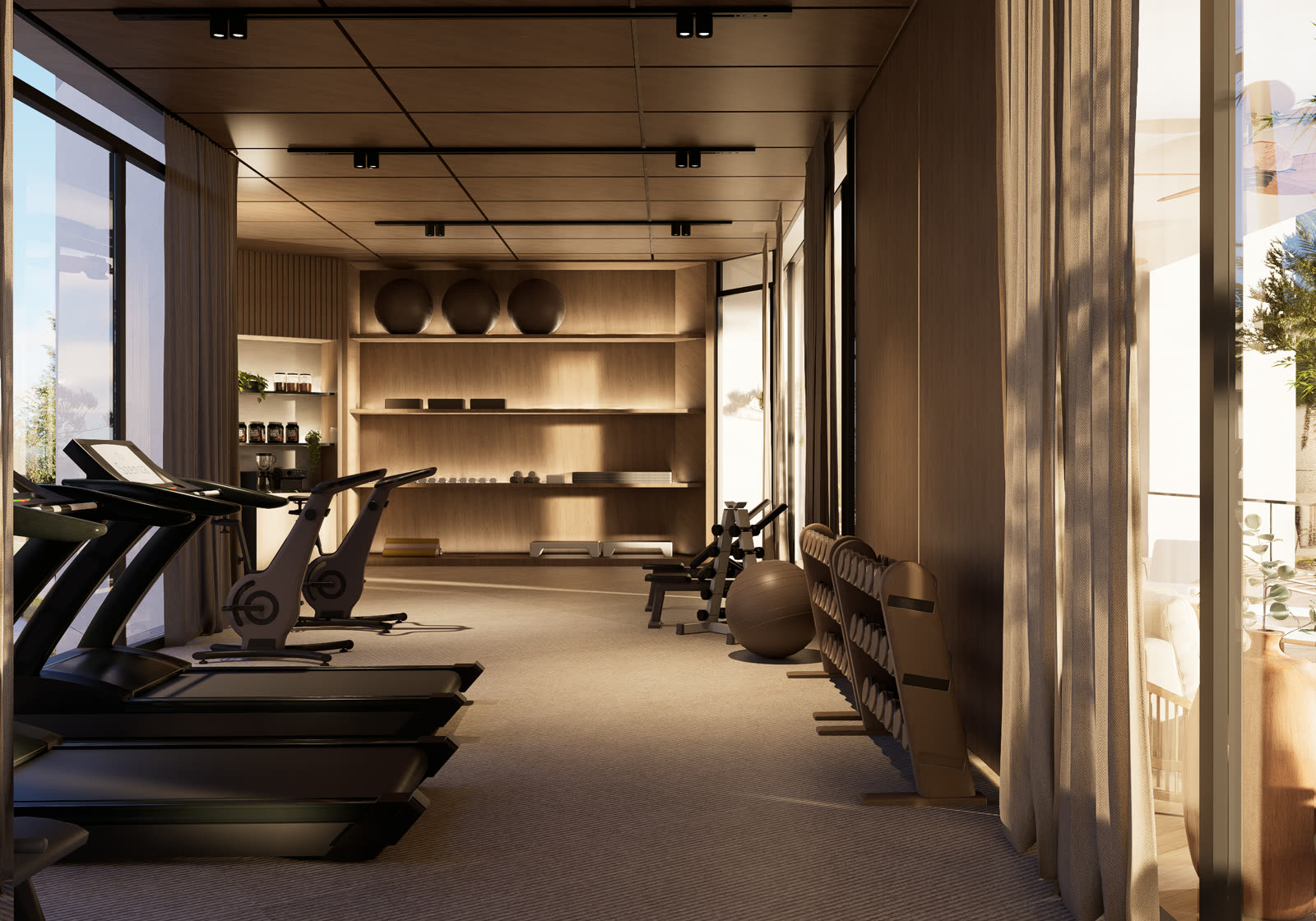 Gimnasio · Szenza